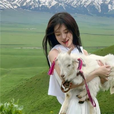 阴谋：作家之死